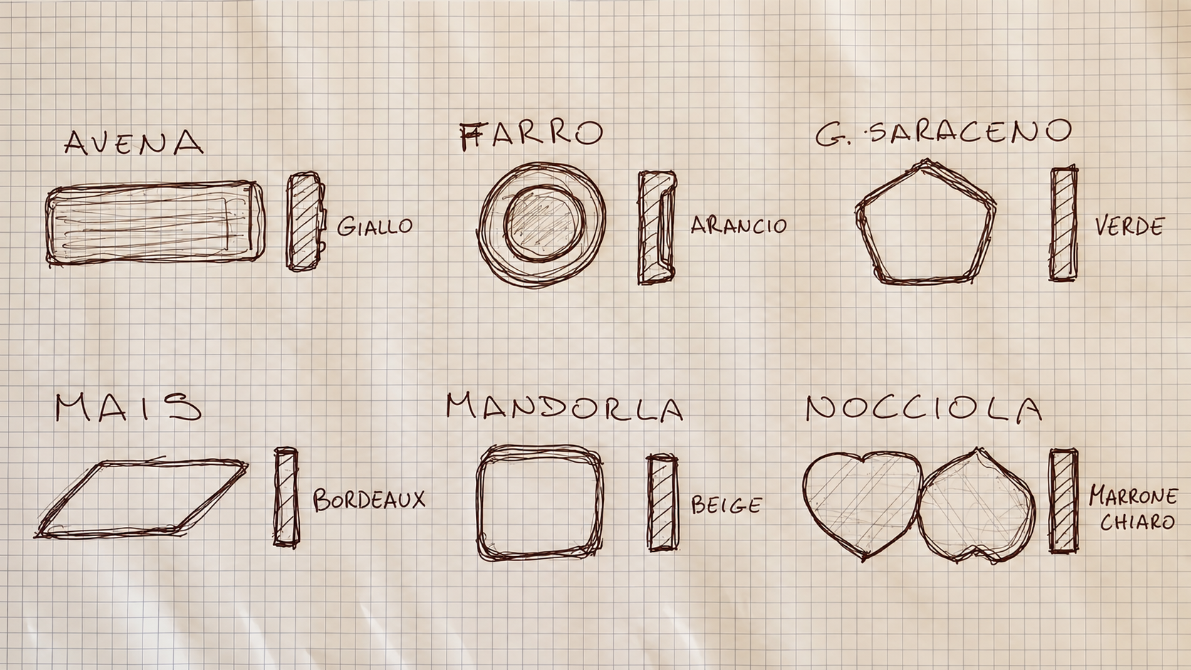 I disegni a mano delle forme dei nostri biscotti: avena, farro, mais, mandorla e nocciola