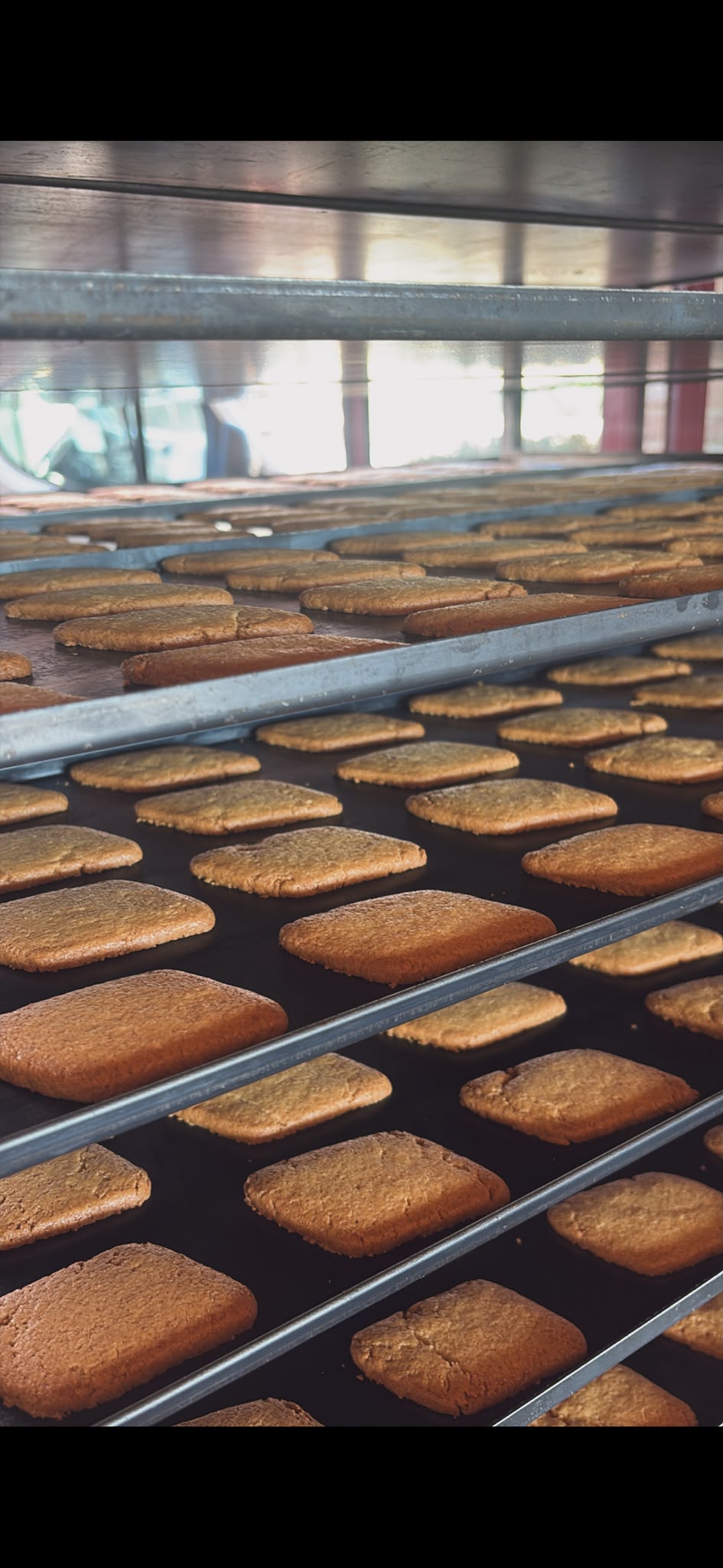 I nostri biscotti artigianali dorati sulle teglie del laboratorio